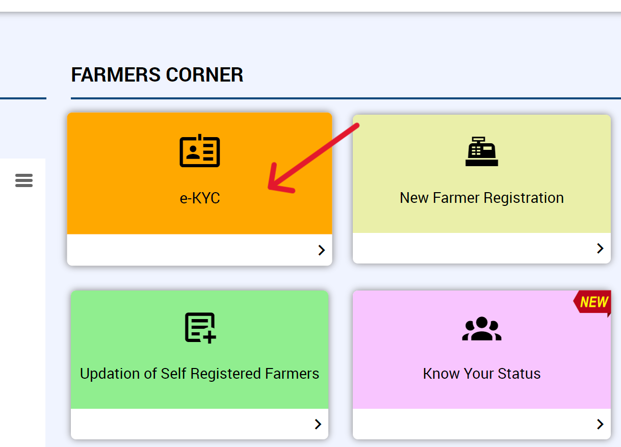 e-KYC